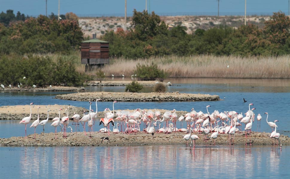 Festa delle oasi e delle riserve Lipu, ritorno alla natura