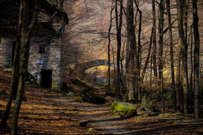 Foreste italiane, PEFC premia le fotografie più belle