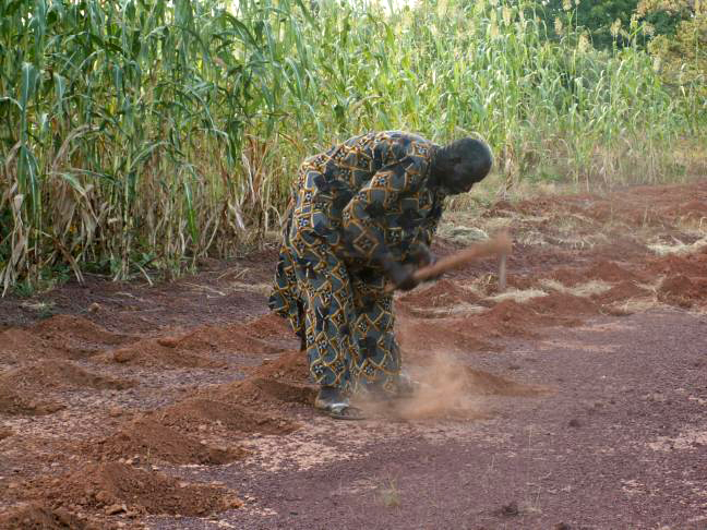 Yacouba Sawadogo, l'uomo capace di dare vita al deserto