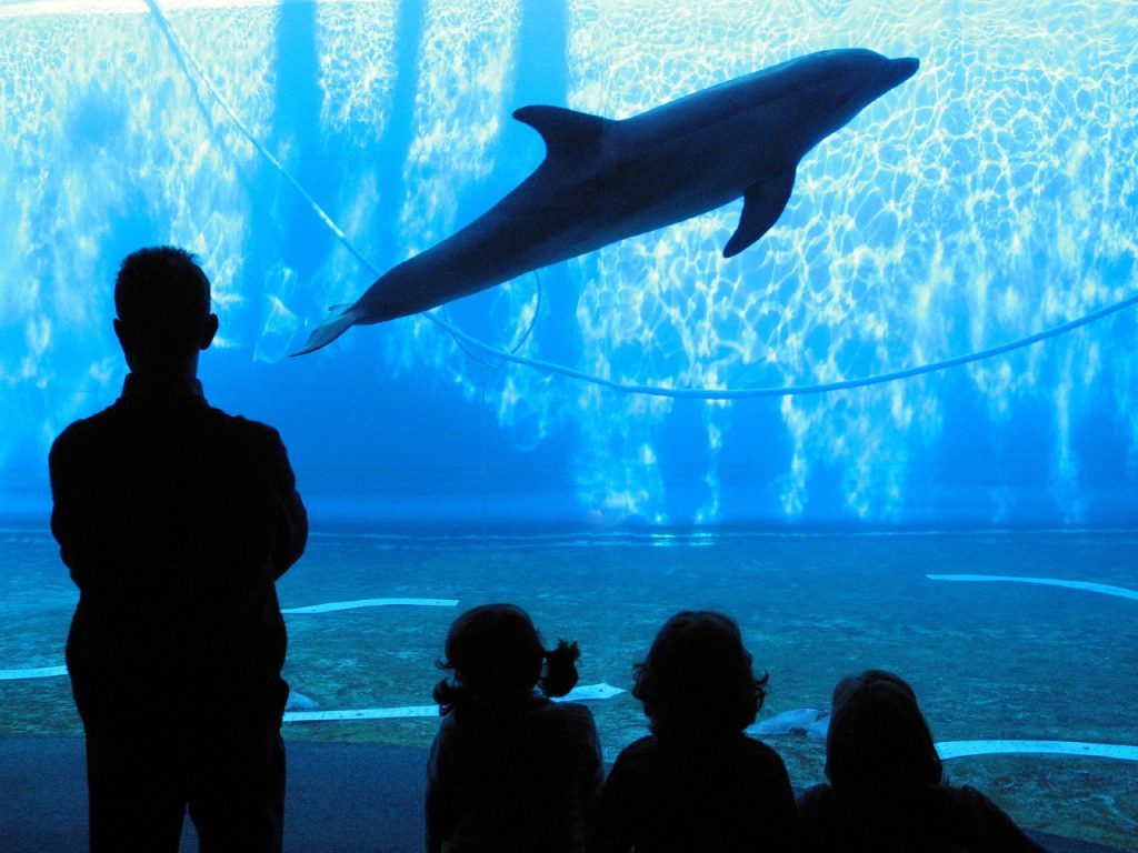 Acquario di Genova dice stop alla plastica monouso