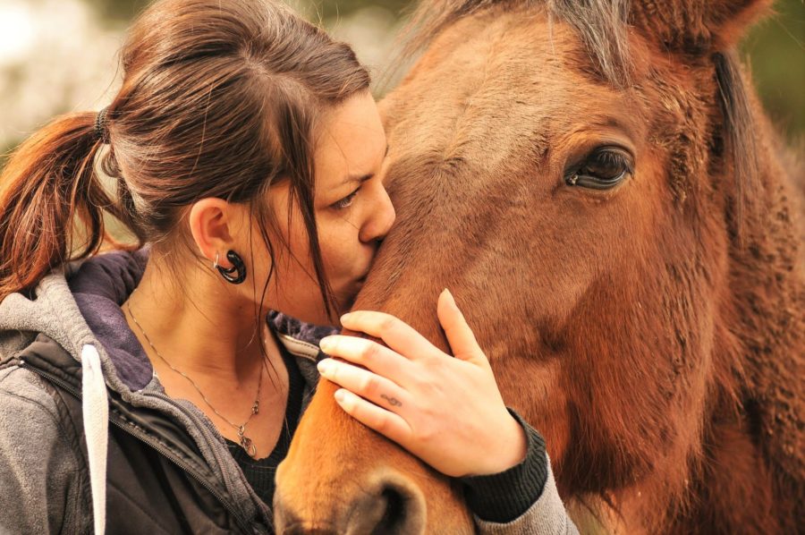 Ester e la sua petizione in rete per un corso di Zoologia