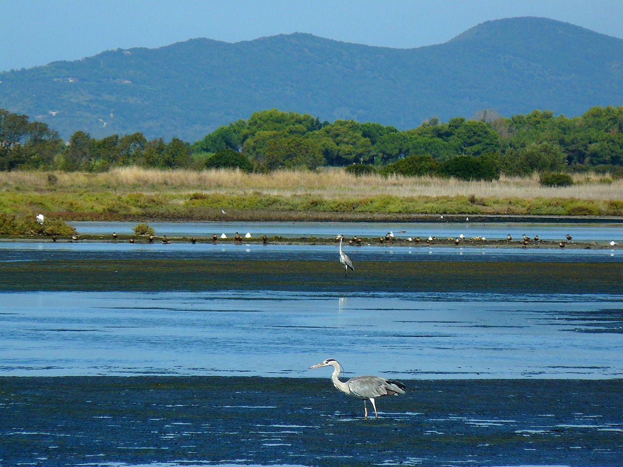 Oasi di Orbetello, gara di idee per progettare il nuovo centro visitatori