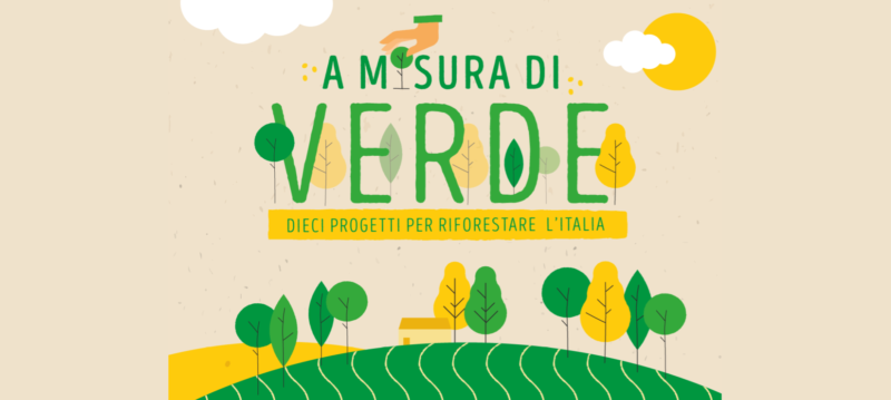 Piantare più di 13.000 alberi: la nuova sfida green di Misura