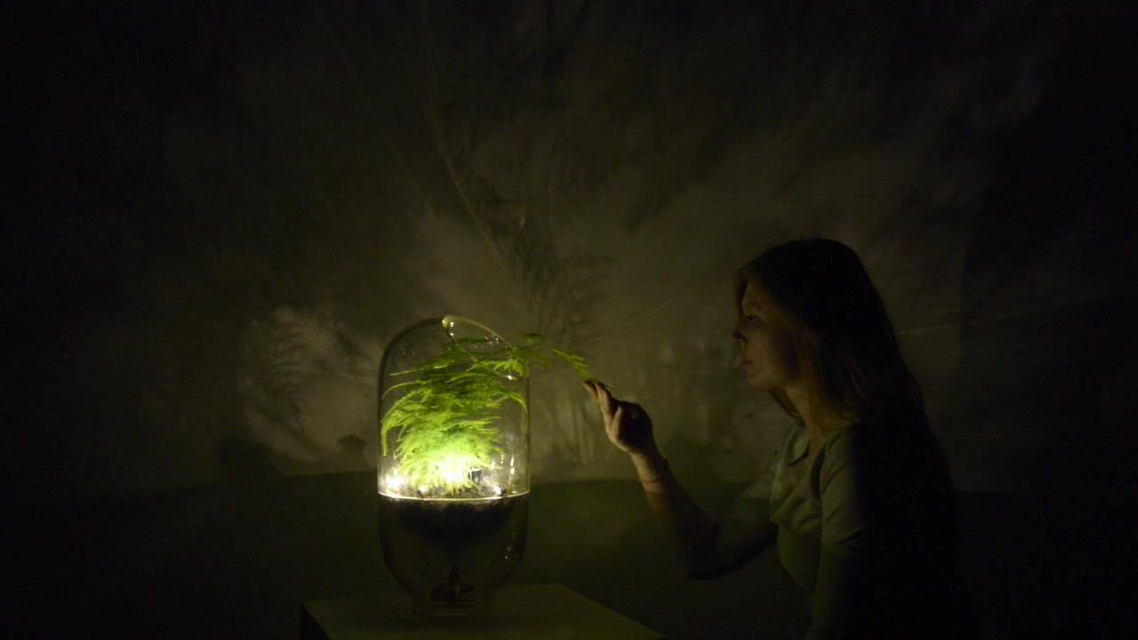 Living Light, la pianta che produce luce