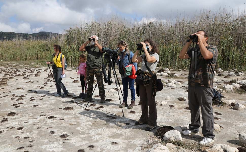 Eurobirdwatch 2021, chiuso con 28.000 partecipanti e 7 milioni di uccelli nei cieli