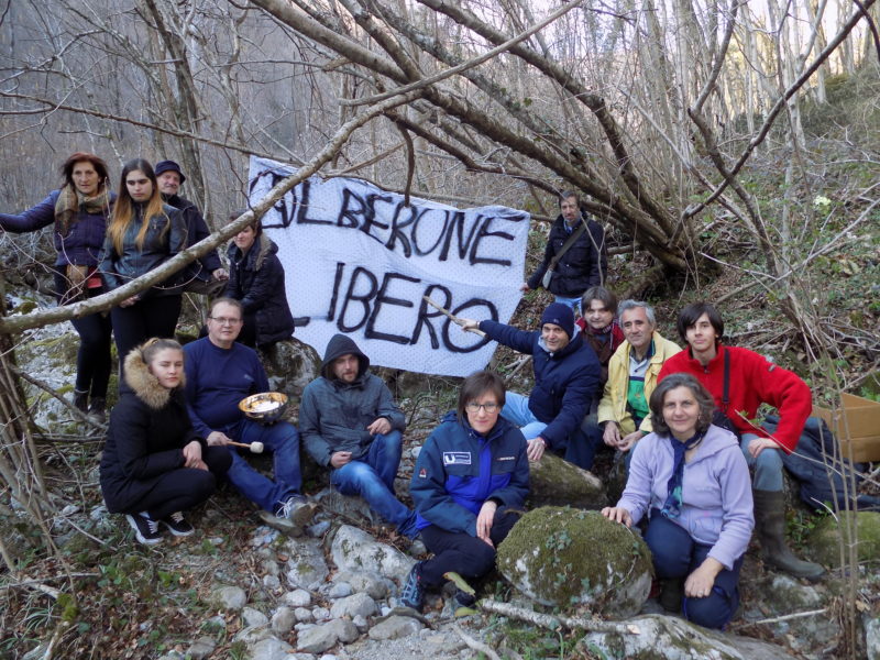 Aran, in difesa del torrente Alberone