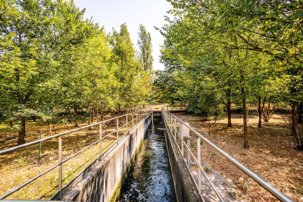 Carenza idrica, a Milano l’acqua depurata per irrigare e dare respiro al Parco Nord