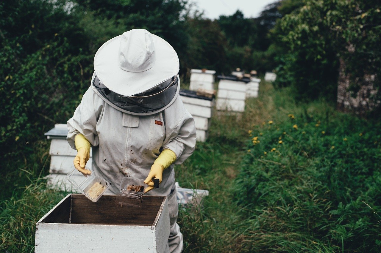 Apiario di Comunità di Castel del Giudice, sostegno finanziario all’apicoltura