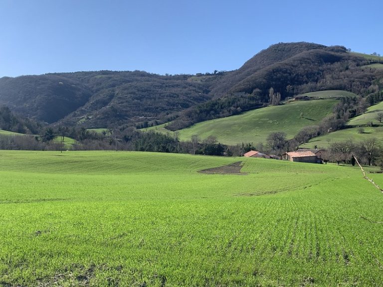 Il Distretto Biologico Terre Marchigiane per uno sviluppo sostenibile