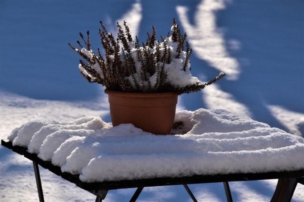 Casa e giardino: come curarlo in inverno?