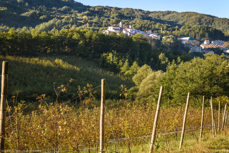 Un Piano del Cibo per Castel del Giudice