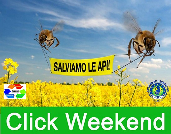 “Click Weekend”, due giorni per salvare la biodiversità e le api
