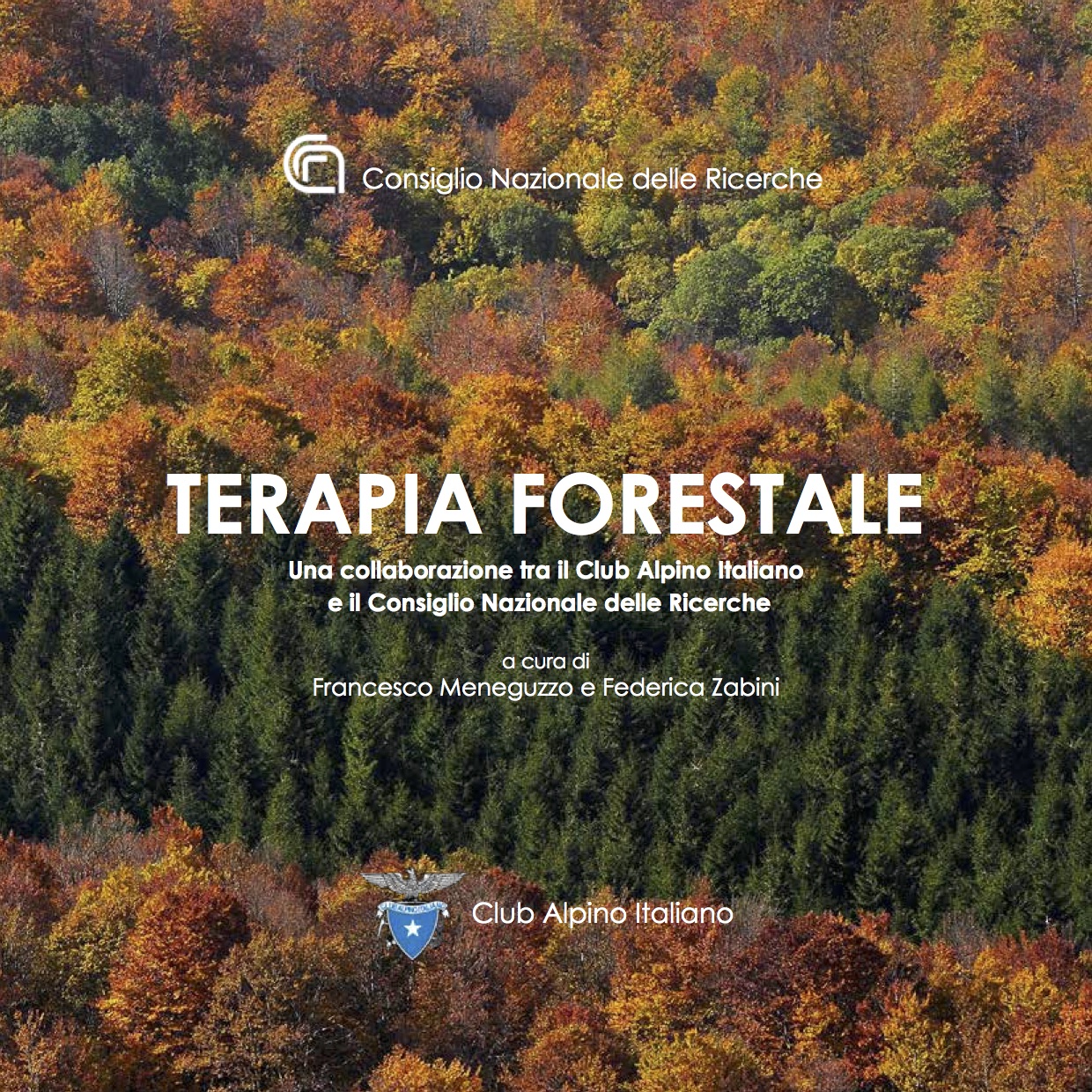 Terapia forestale, ora un libro racconta di cosa si tratta