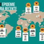 Covid-19, una conseguenza della distruzione degli ecosistemi