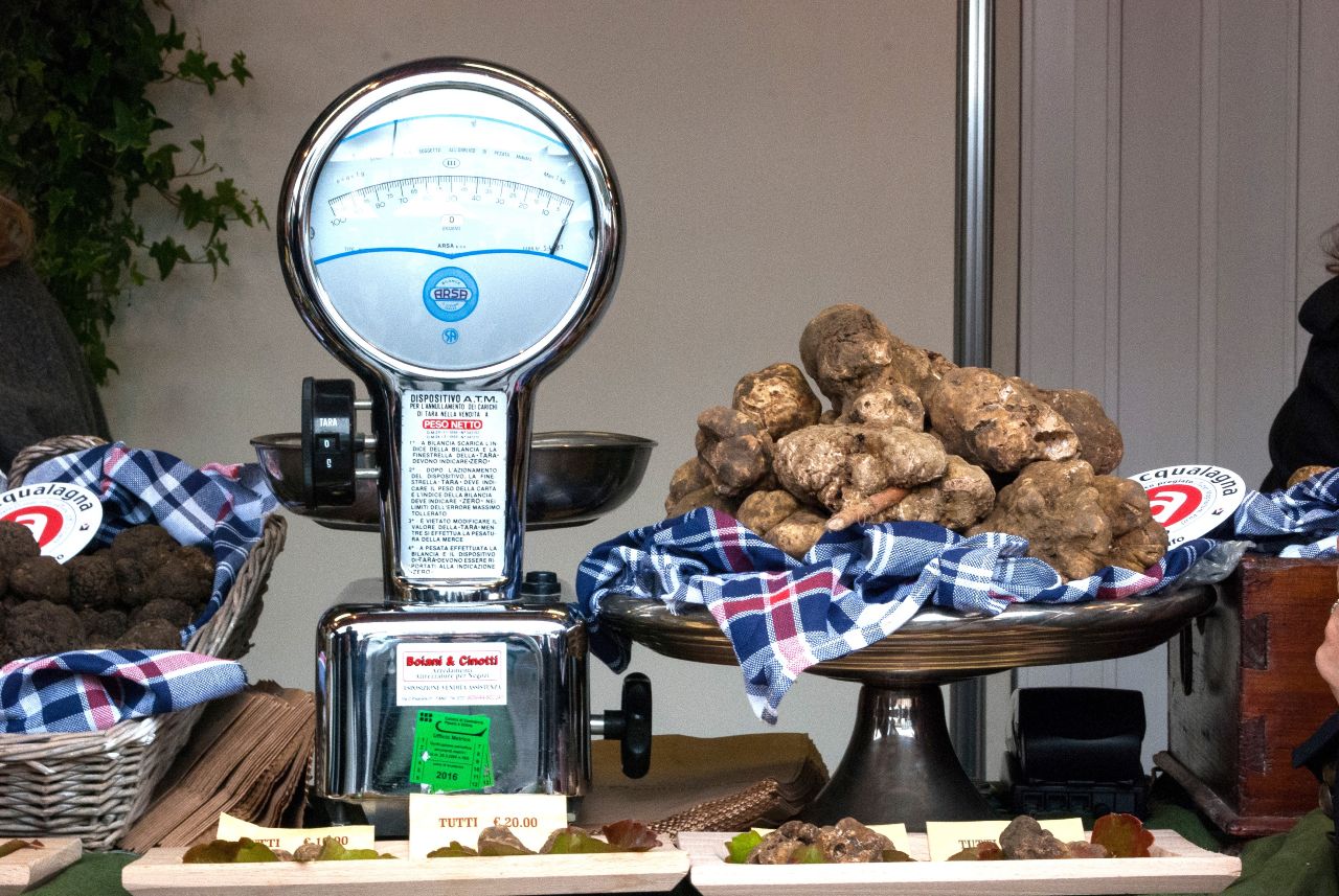 Tartufo Award, ad Acqualagna si sfidano le città del tartufo