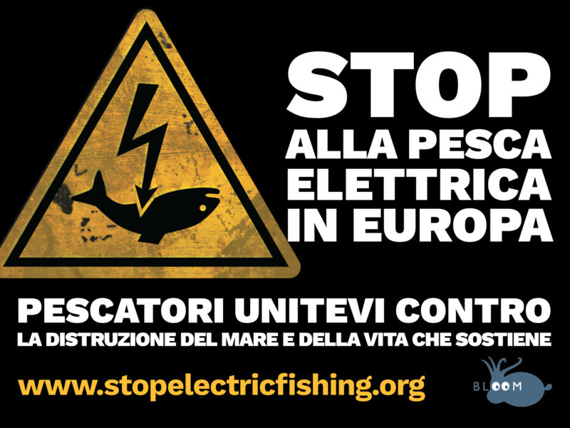 Nessun accordo europeo contro la pesca elettrica