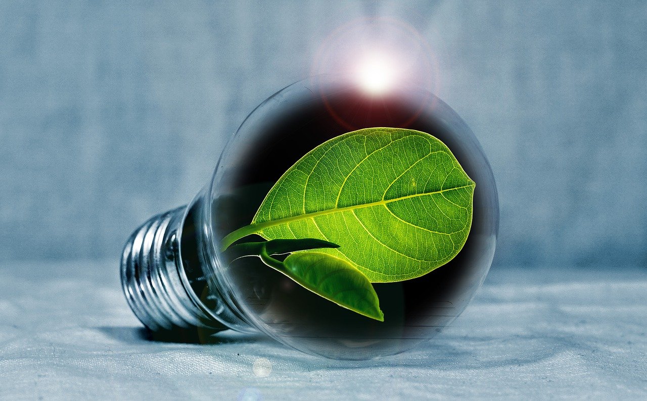 Elettricità green: le buone pratiche per ridurre i consumi domestici