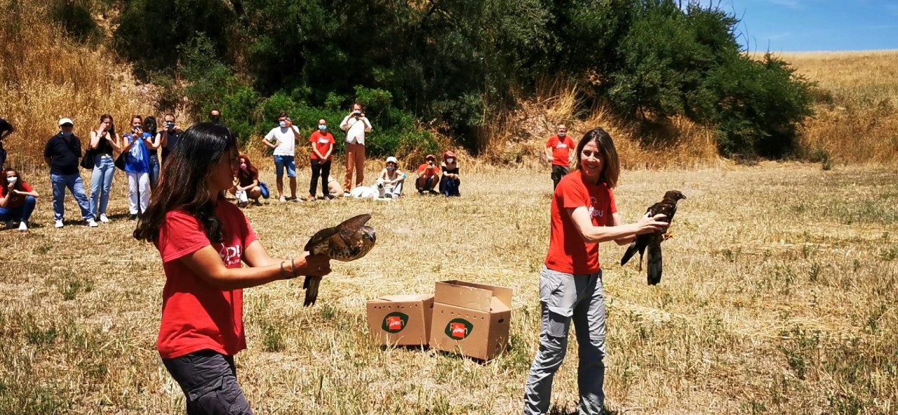 Festa delle Oasi e Riserve, gli appuntamenti della Lipu con la biodiversità