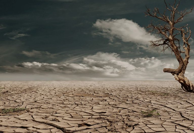 Fondazione CMCC, una nuova sede per studiare il clima e progettare il mondo di domani