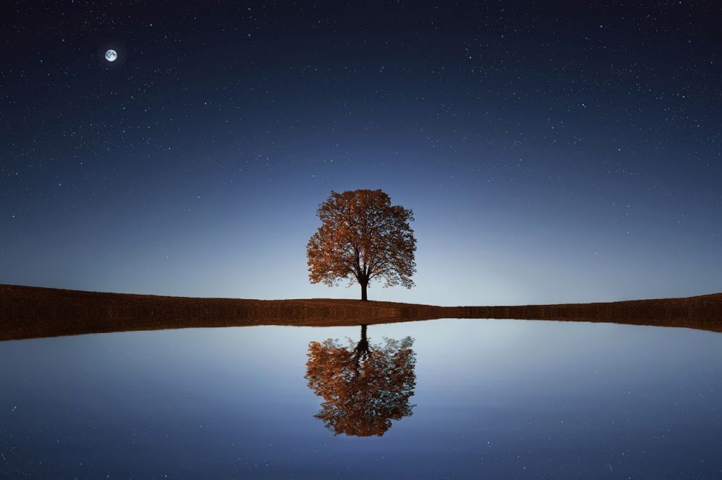 QuinteScienza e le meraviglie della natura raccontate tra arte e conoscenza