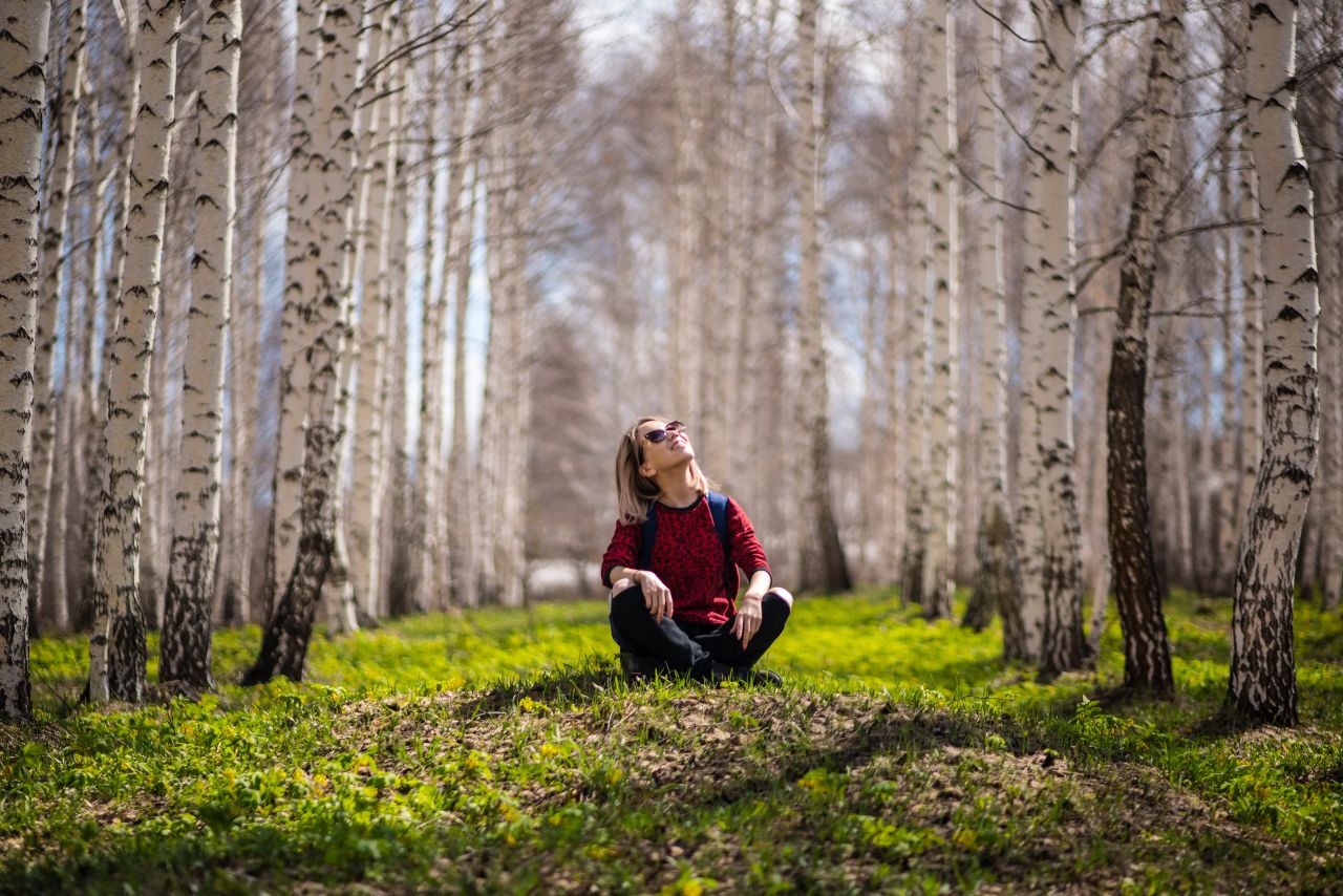 Forest Bathing, nella foresta per ritrovare se stessi