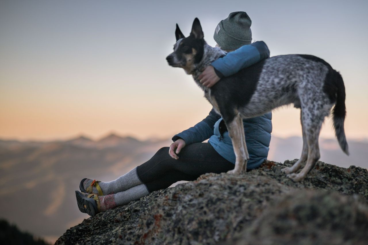 Dog Film Festival, raccontare in tre minuti storie d’amore tra umani e cani