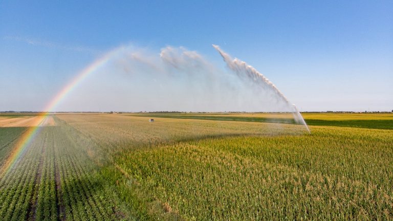 I vantaggi di irrigare con acqua trattata con l’ozono