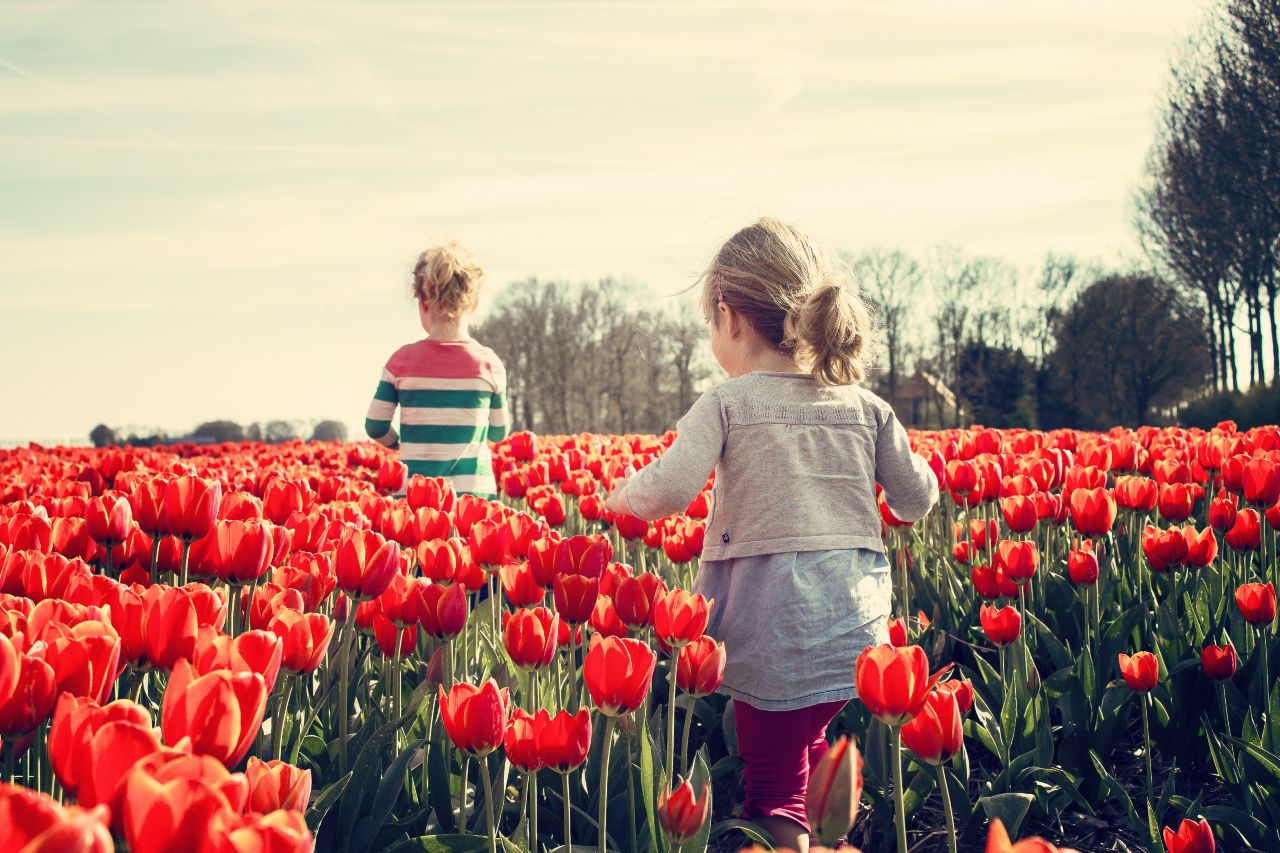 Facciamo che i nostri piccoli diventino “Bambini Botanici”