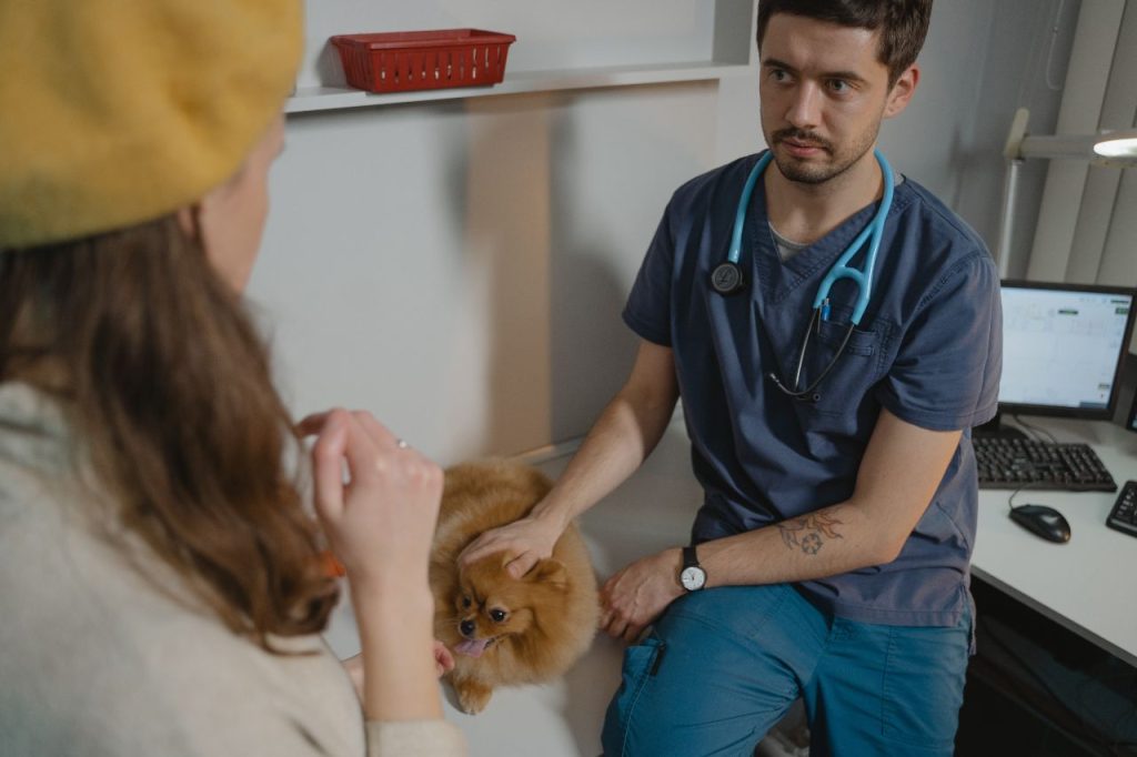Medico veterinario, come e perché si evolve la sua professione