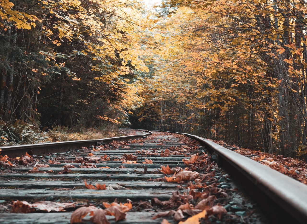 Vivere l’autunno e i suoi colori viaggiando sul Treno del Foliage