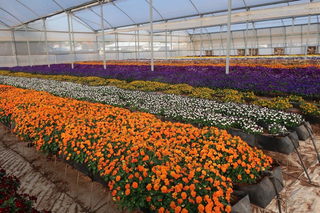 Florovivaisti: 10 misure per la ripresa settore dei fiori italiani