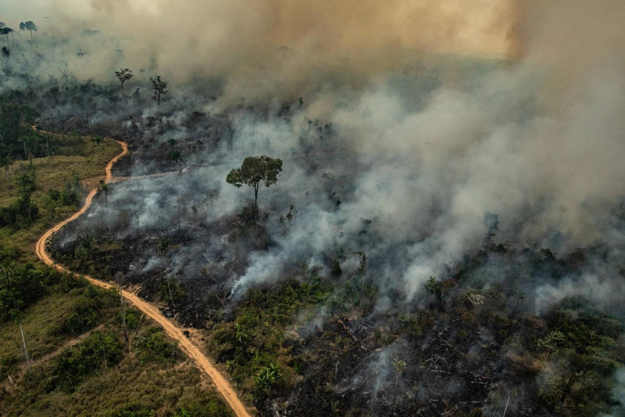 Dalla Siberia all’Amazzonia, le foreste in fiamme e l’emergenza clima