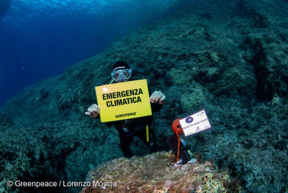 Clima, Greenpeace con "Mare Caldo" lancia allarme: mare italiano sempre più caldo e aumento specie aliene