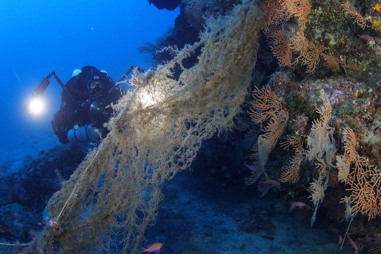 Marevivo rimuove dal fondale dell’Isola del Giglio una rete di 500 metri