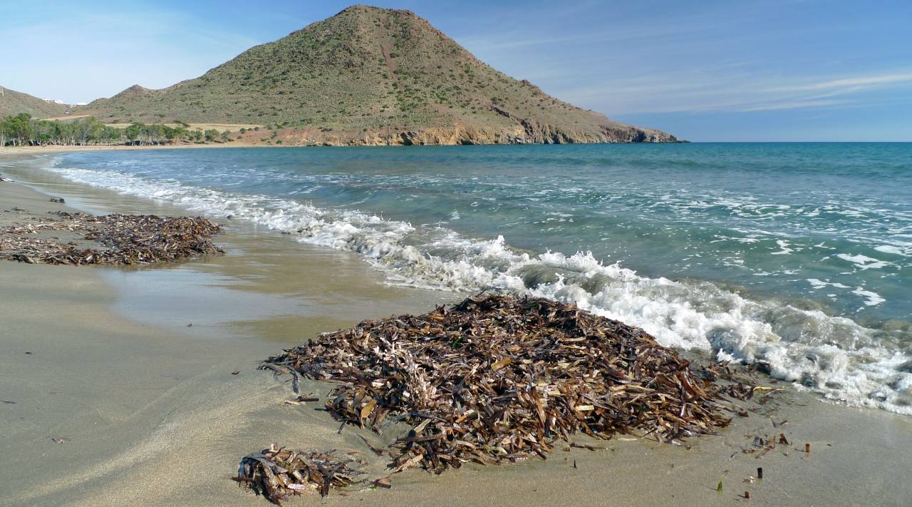 Giornata degli Oceani, WWf assalto alle coste italiane fragili e sfruttate
