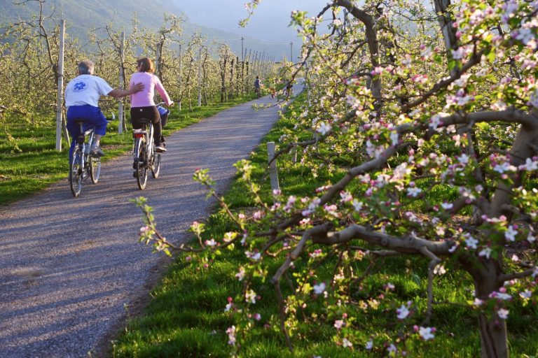 Italian Green Road Award 2021: le migliori vie verdi delle regioni italiane