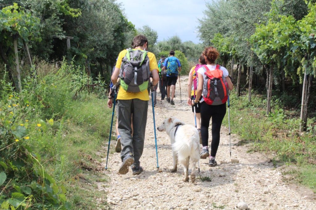 Conoscere l’Abruzzo sorseggiando vini e scoprendo cammini