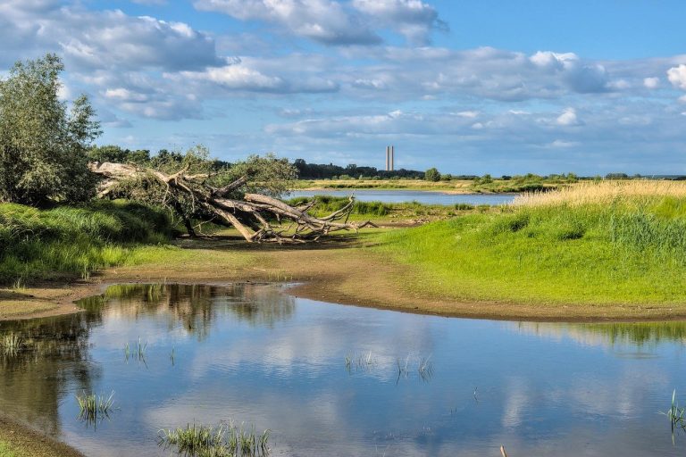 Il 94% delle imprese quotate più consapevoli verso cambiamento climatico