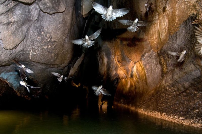 Il fiume sotterraneo di Puerto Princesa