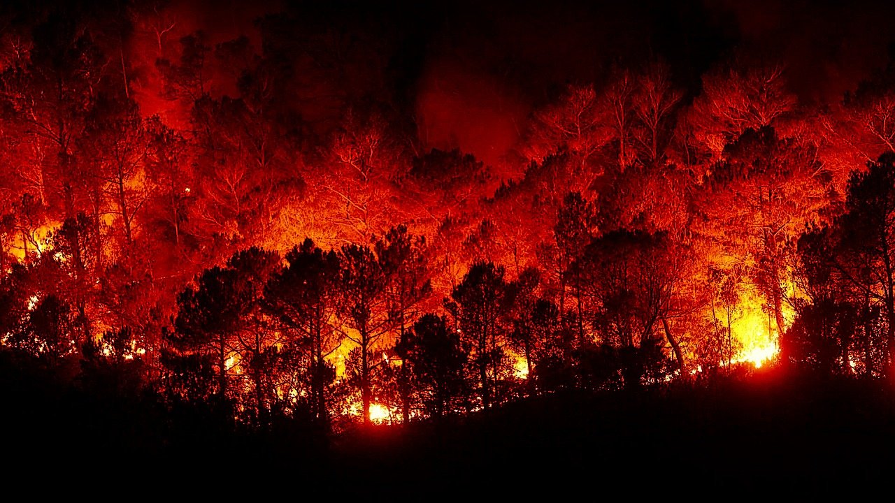 Incendi e cambiamenti climatici, da PEFC cinque comportamenti per proteggere le foreste italiane