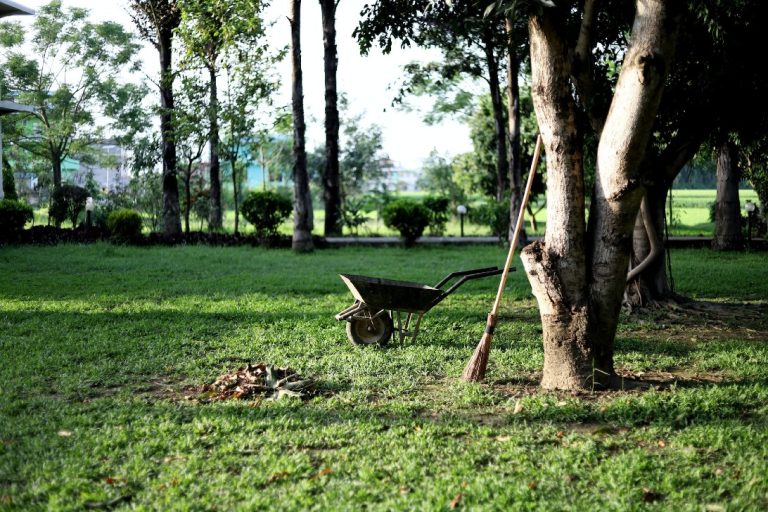 L’ABC per la cura del giardino: gli strumenti essenziali