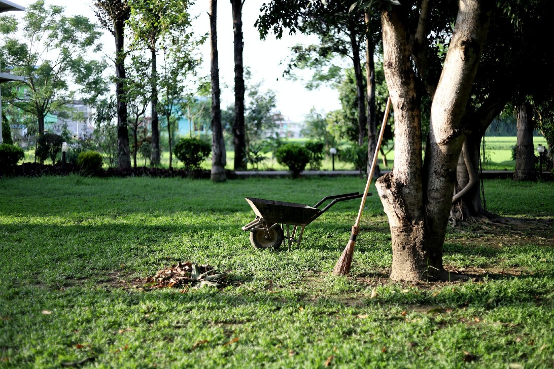 L’ABC per la cura del giardino: gli strumenti essenziali