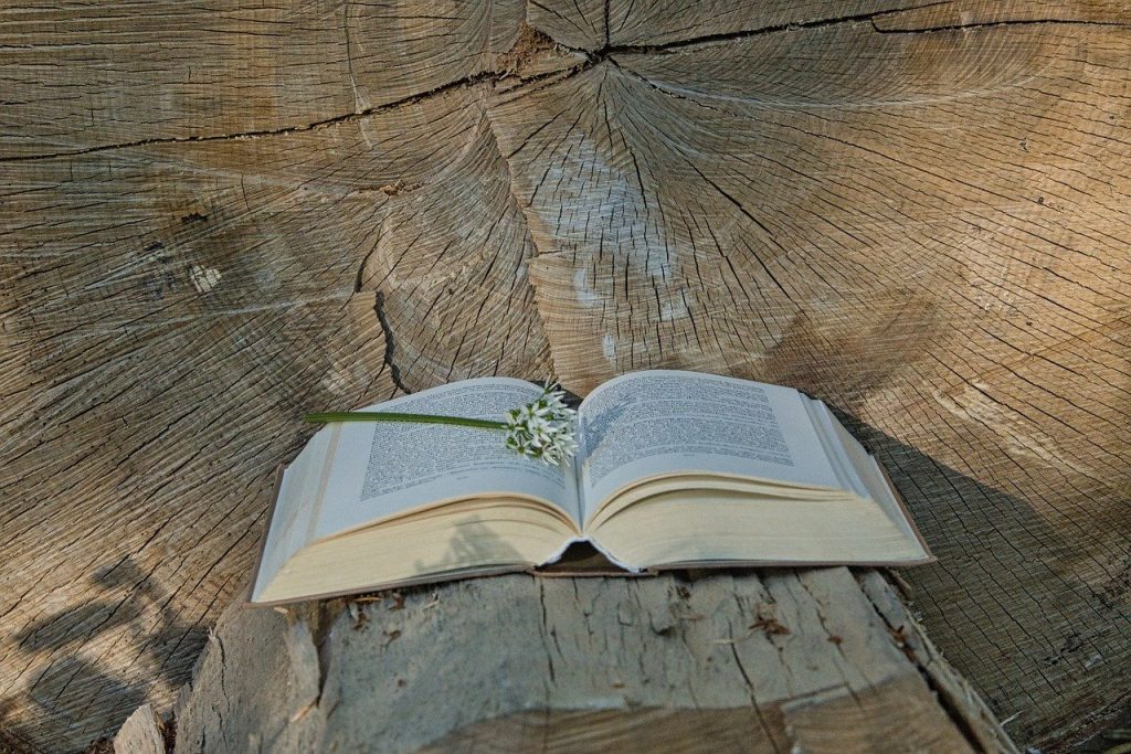 Leggere in modo ecosostenibile: si può?