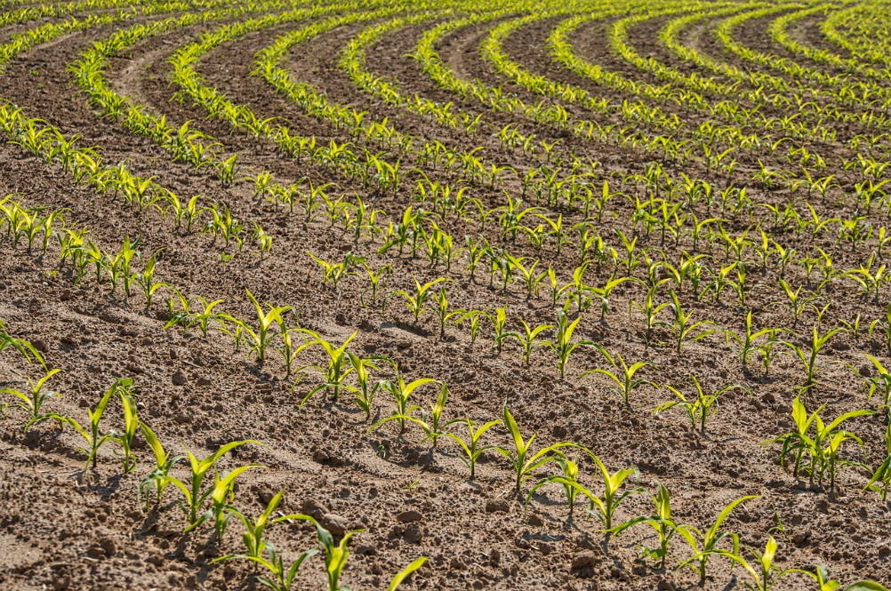 Life ADA, progetto per aumentare la resilienza del settore agricolo ai cambiamenti climatici