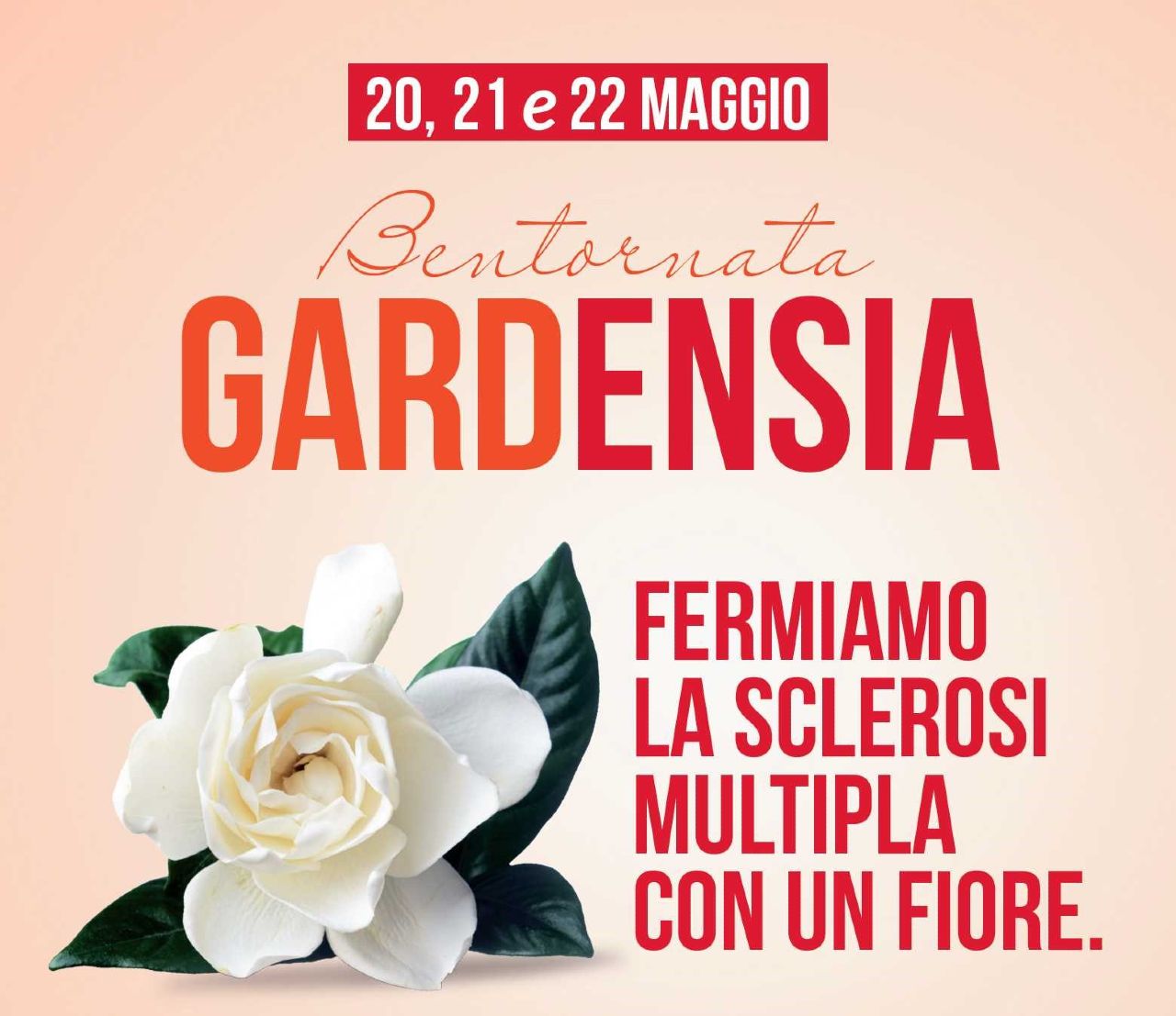 Con l'AISM, un fiore di gardenia per fermare la sclerosi multipla