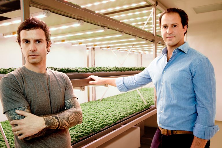 Vertical farming e Planet Farms, possibili risposte a clima e siccità