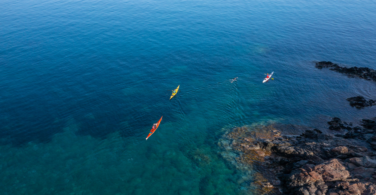 Da Capraia all'Elba: la nuotata ecologica sulla Rotta dei Cetacei