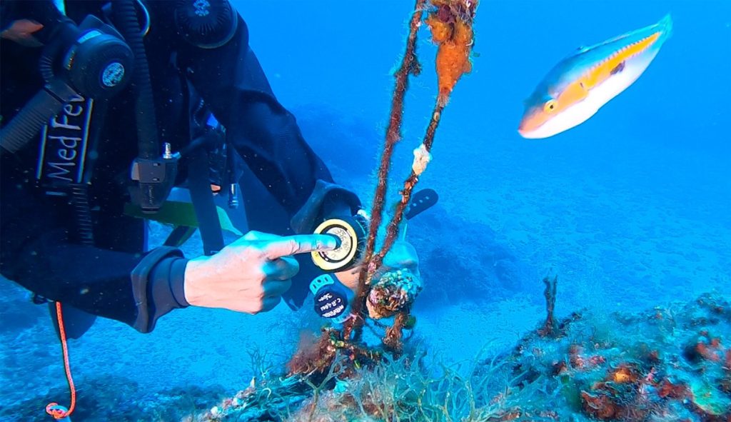 MedFever, una rete di termometri per misurare la febbre del Mediterraneo