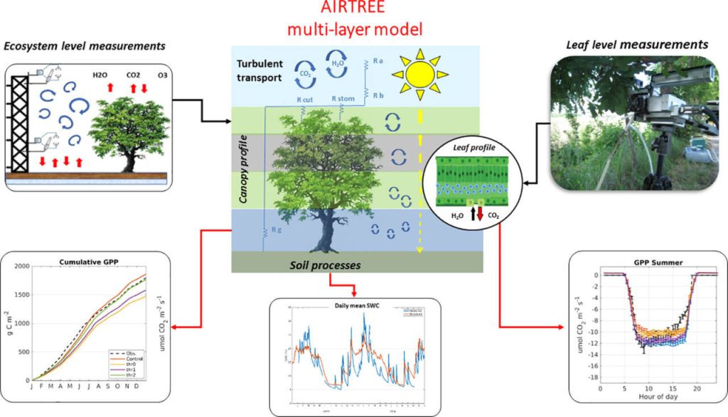 AIRTREE, il software per rendere le città green e l'aria più pulita