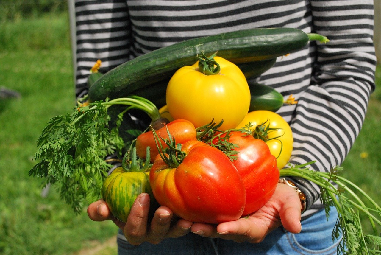 Nantes, città generosa dai “Paesaggi nutrienti”